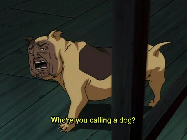 a6e3da0e38f3b354394e213304cdf34b