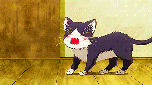 tumblr_pl31fkzpyn1vcyftzo2_500