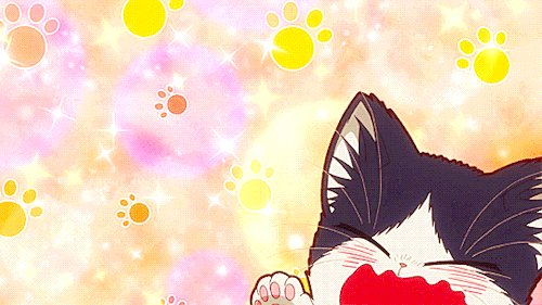 tumblr_pl31fkzpyn1vcyftzo4_500