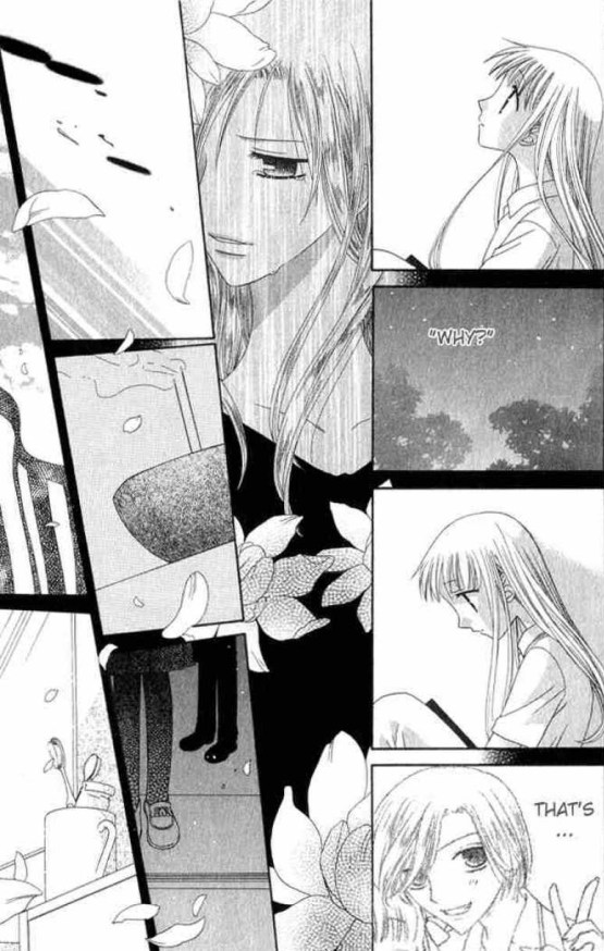 fruits-basket-458359