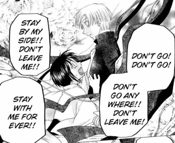 fruits-basket-459703